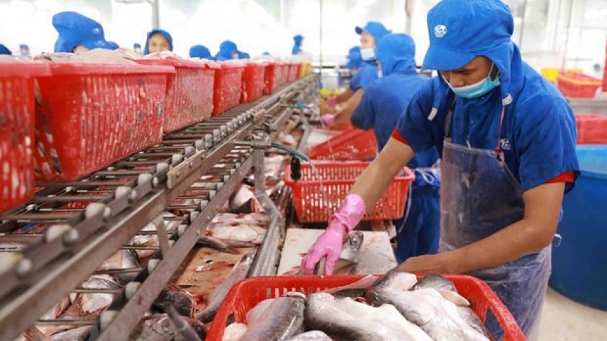 VASEP claims imported seafood regulations inadequate